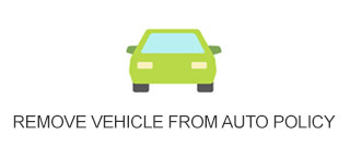 Btnsauto_remove_vehicle